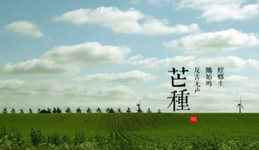 2017芒种是几月几号