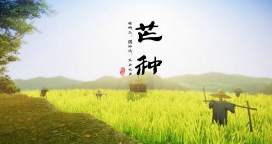 2017年芒种什么时候