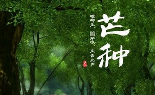 2017年芒种是哪天