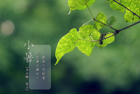 2017年小暑节气哪一天 2017年小暑节气哪一天