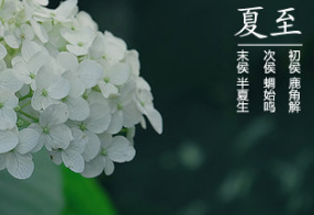 有关夏至的诗