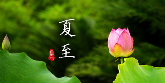 关于夏至节气的诗句
