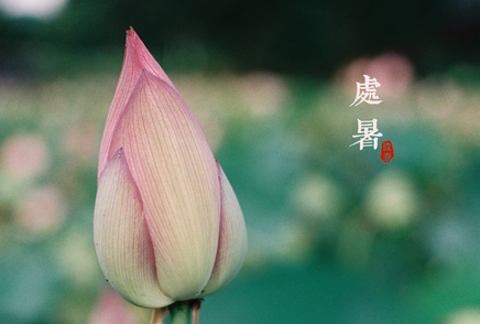 2017处暑节气哪天 2017处暑节气哪天