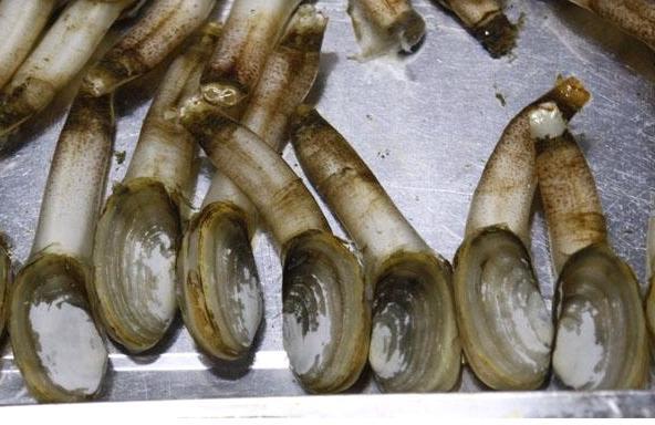 海南三亚行之美食篇 2