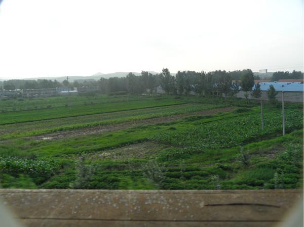 山东环岛游之烟台蓬莱篇1