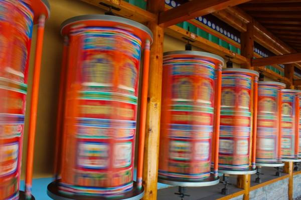 甘南、青海3600公里自驾游——拉卜楞寺、桑科草原、尕海、黄河九曲、扎尕那、青海湖、茶卡盐湖