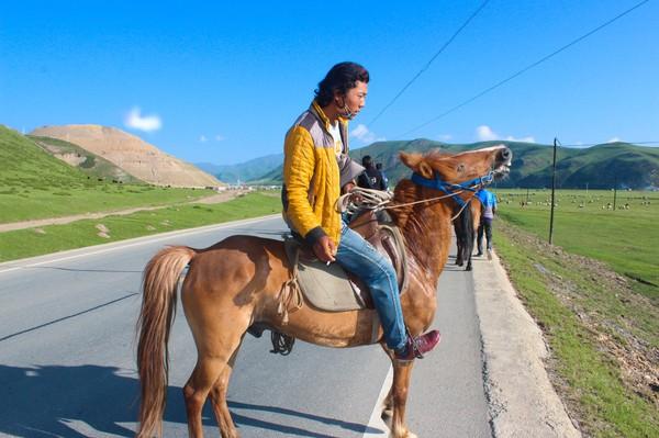 甘南、青海3600公里自驾游——拉卜楞寺、桑科草原、尕海、黄河九曲、扎尕那、青海湖、茶卡盐湖