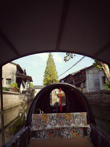 fish的旅行25