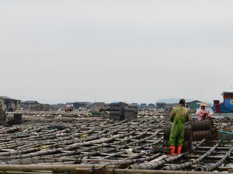 囡囡骑马游霞浦——第一次用镜头、用心，感觉美的幽然素淡15