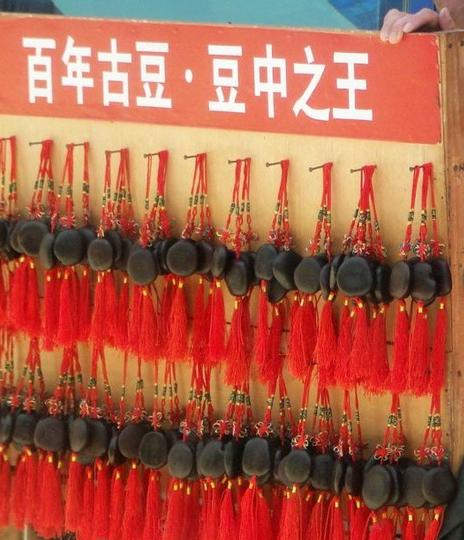 厦门行之客家土楼。1
