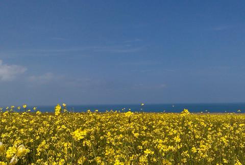 西游记-峰回路转、柳暗花明17