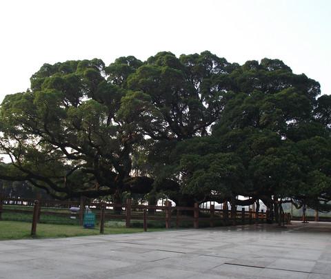福州，惬意的阳光19