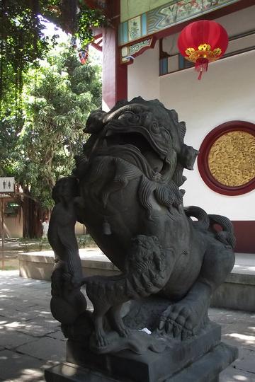 福州，惬意的阳光36