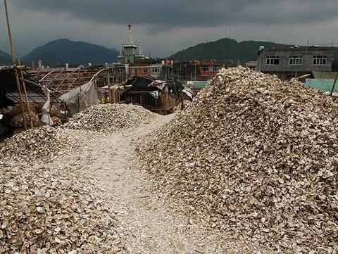 霞浦游记攻略36