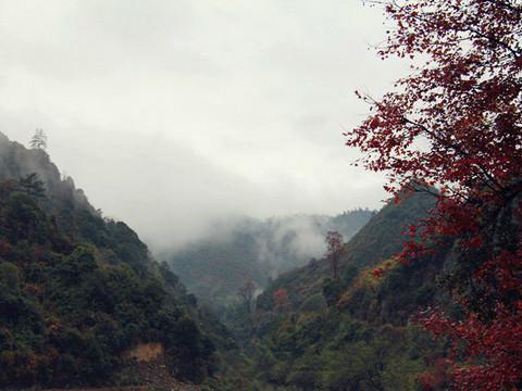 婺源秋忆,云雾三清,五天经济游28