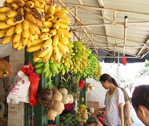 2012年三亚自由人最新旅游攻略(体验总结)30