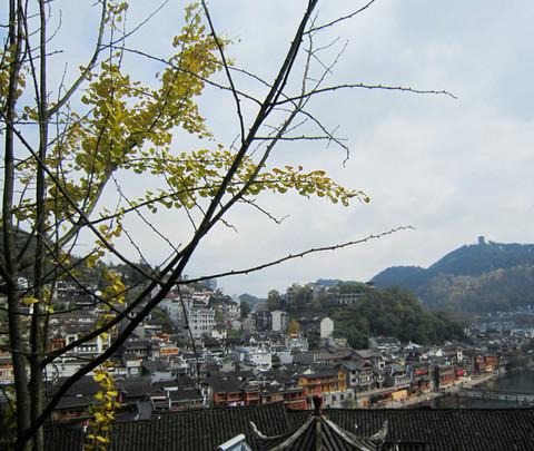 凤凰游~5