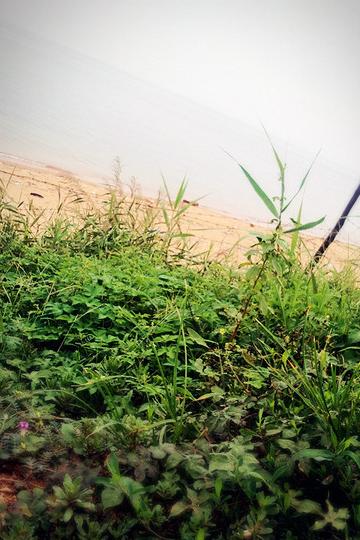 威海，小悠闲，小清新（持续更新……）22