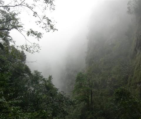 江西井岗山20