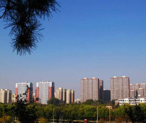 柏林公园6