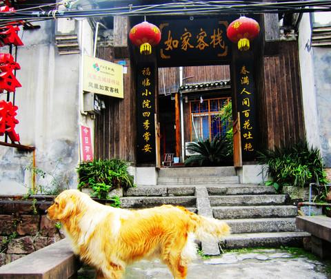 凤凰游~1