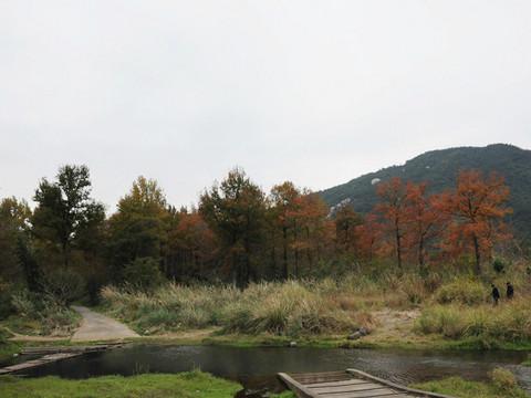 2011-12-18杨家溪一日游1
