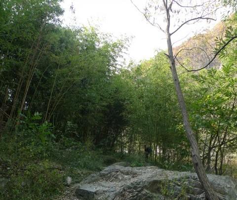 泰山，第一次驴友行10