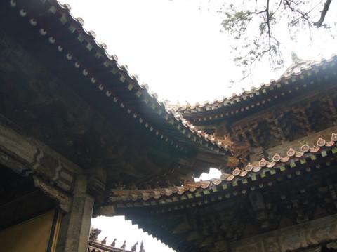孔府 孔庙 孔林6