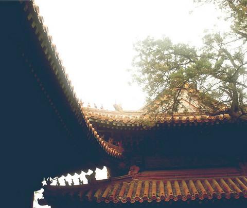 曲阜-三孔-济南游4