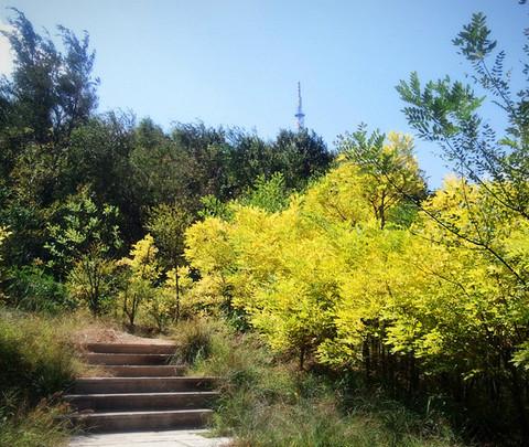 威海，小悠闲，小清新（持续更新……）7