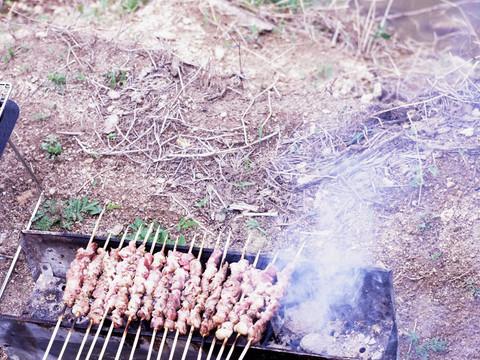 湖畔BBQ12