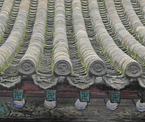 携秋雨拜谒孔子故里4