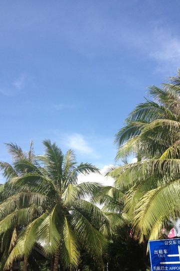 不管末日是否来临、我们永远在一起（三亚六天五晚自由行）2