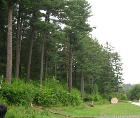 伊春漂流、五营国家森林公园1日游20