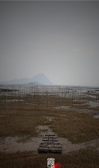 霞浦-最美丽的滩涂，最糟糕的运气15