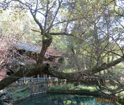 游走山水间,昆明骑行记(松花坝—小河—白邑—野鸭湖)13