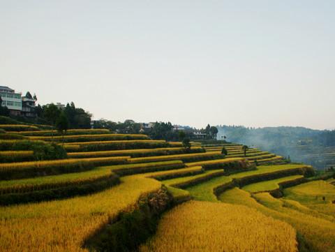 茗岙的梯田，千年古村林坑的一座老桥，霞浦的日落与日出1