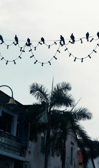 【完结！】旅行就该说走就走：穷游少女勇闯东南亚48