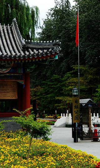我有恋日坛路情结。34