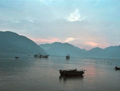 绿油油红艳艳的霞浦28
