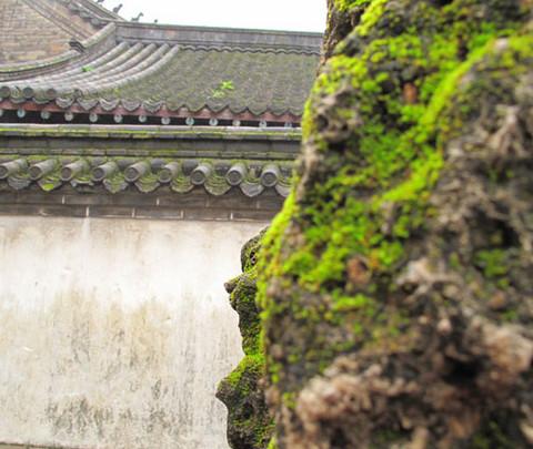 携秋雨拜谒孔子故里11