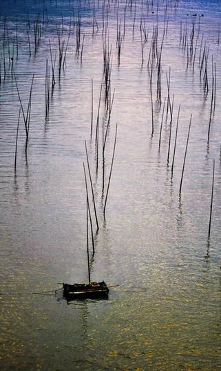 绿油油红艳艳的霞浦34