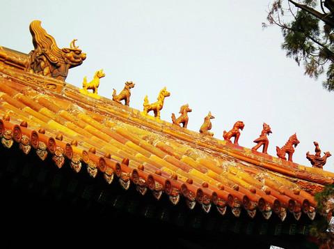 儒——春天的邹城、曲阜（照片朋友拍的）20
