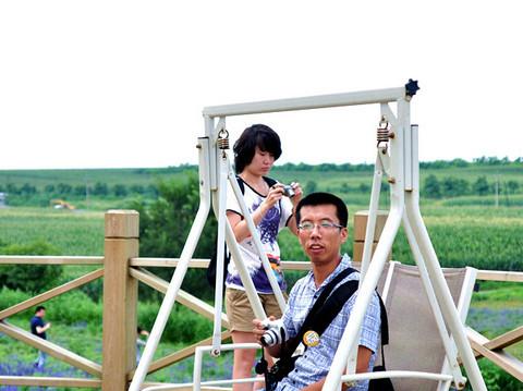 沈舵蜂友同寻紫色浪漫——薰衣草庄园14