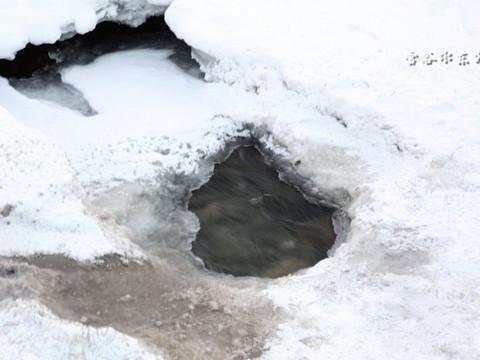冰雪“纳尼亚”哈尔滨-雪乡行记（完）13
