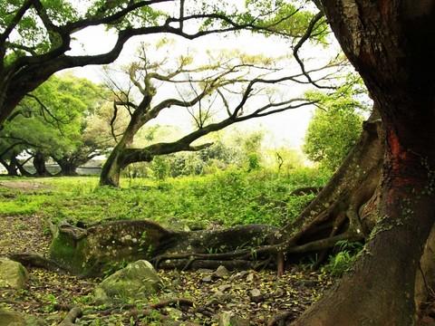 2011年4月2日——2011年4月5日福建霞浦5