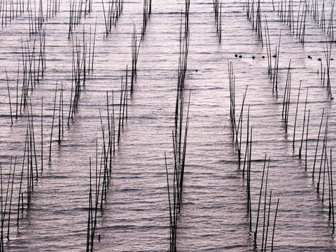 2011年4月2日——2011年4月5日福建霞浦37