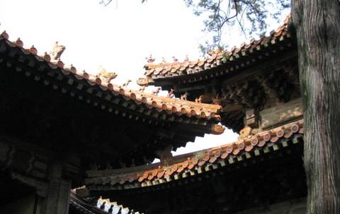 有文化的旅游4