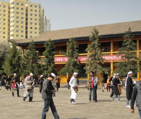 西宁东关清真大寺、塔尔寺、省博物馆、植物园、水井巷、莫家街。。。28