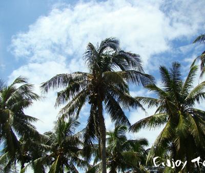 Enjoy the sea6